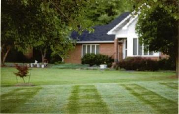 Paradise Landscaping and Cleaning, Inc. logo