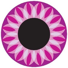 Avatar for B&B Design & Shades Corporation