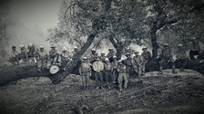 Castellanos Tree Service logo