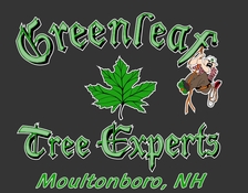 Greenleaf Tree Experts logo