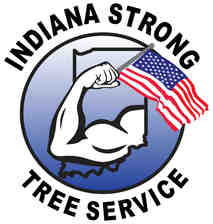Logo for Indiana Strong Tree Service