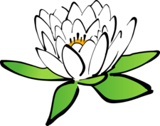 Lily White Cleaning Service logo