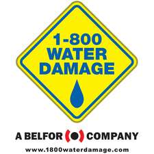 Avatar for 1-800 Water Damage