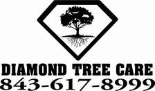 Diamond Tree Care logo