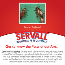 Avatar for Servall Termite & Pest Control