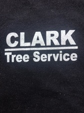 Logo for Clark Tree Service