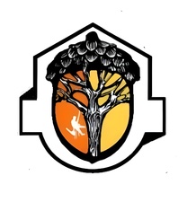 Avatar for JP's Lawn & Tree