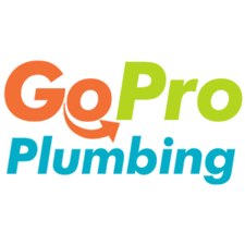 Logo for Go Pro Plumbing