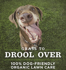 Avatar for Clean Air Lawn Care