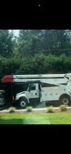 Avatar for Timber Tree Service, LLC
