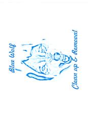 Avatar for Blue Wolf Clean Up & Removal