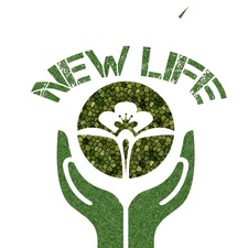 Avatar for New Life Tree and Landscape