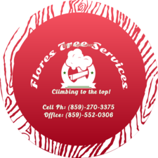 Logo for Flores Tree Services