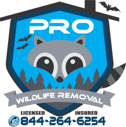 Pro Wildlife Removal logo
