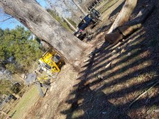 Michaels lawn & tree service - Inicio Facebook logo