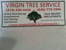 Avatar for Virgin Tree Service