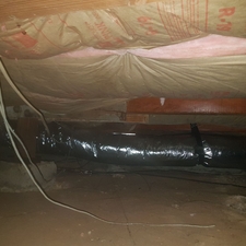 Rodent Clean Up Services Attic Insulation Removal