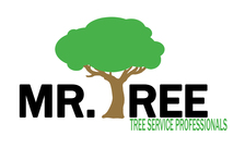 Logo for Mr. Tree
