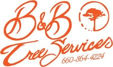 Avatar for B&B Tree Services
