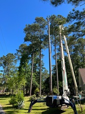 Avatar for Paradise Landscaping & Tree Removal LLC