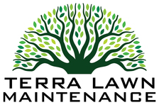 Terra Lawn Maintenance logo