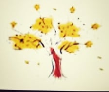 Logo for North Atlanta Tree Service