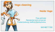 Vega Cleaning logo