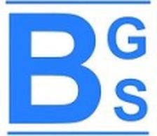 Logo for Brazilian General Services, LLC