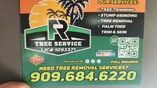 Avatar for FR TREE SERVICE