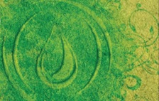 Complete Lawncare & Irrigation logo
