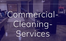 V.I.P Cleaning Services logo