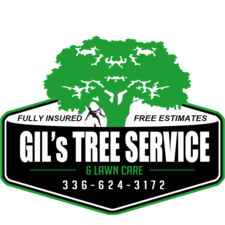 Avatar for Gil's Tree Service & Lawn Care