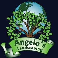 Avatar for Angelo's Cleaning and Landscaping