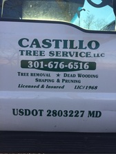Castillo Tree Service logo