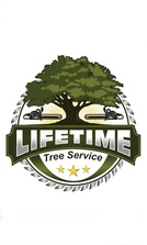 Logo for Lifetime Tree Service