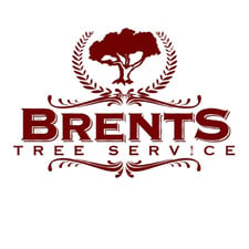 Avatar for Brents Tree Service
