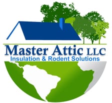 Master Attic, LLC logo