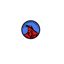 Phoenix Pressure Washing, LLC logo