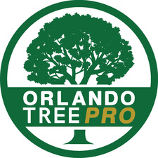 Avatar for Orlando Tree Pro, LLC