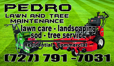 Pedro Lawn and Tree Maintenance logo