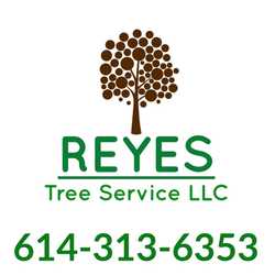 Reyes Tree Service LLC - Home  Facebook logo