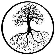 Avatar for Old Tree Construction, LLC