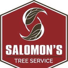 Salomon's Tree Service, LLC logo