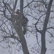 Avatar for Harrington Tree Service