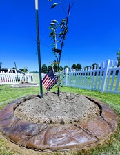 Avatar for Curb It Landscape Design - Home Facebook