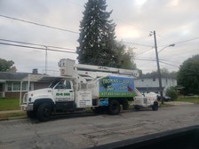 Avatar for Thomas and Sons Tree & Mulch Service
