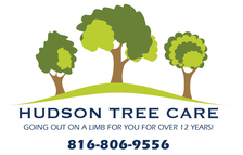 Logo for Hudson Tree Care LLC