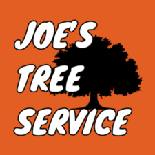 Logo for Joe's Tree Service