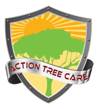 Avatar for Action Tree Care -