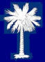 Palmetto Coast Construction Group, Inc. logo